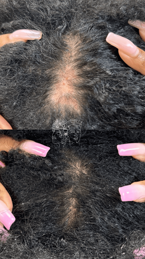 Gallery 32 An image with the filename of ALEXIS